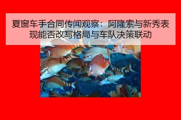 xia-chuang-che-shou-he-tong-chuan-wen-guan-cha-a-long-suo-yu-xin-xiu-biao-xian-neng-fou-gai-xie-ge-ju-yu-che-dui-jue-ce-2-855.jpg